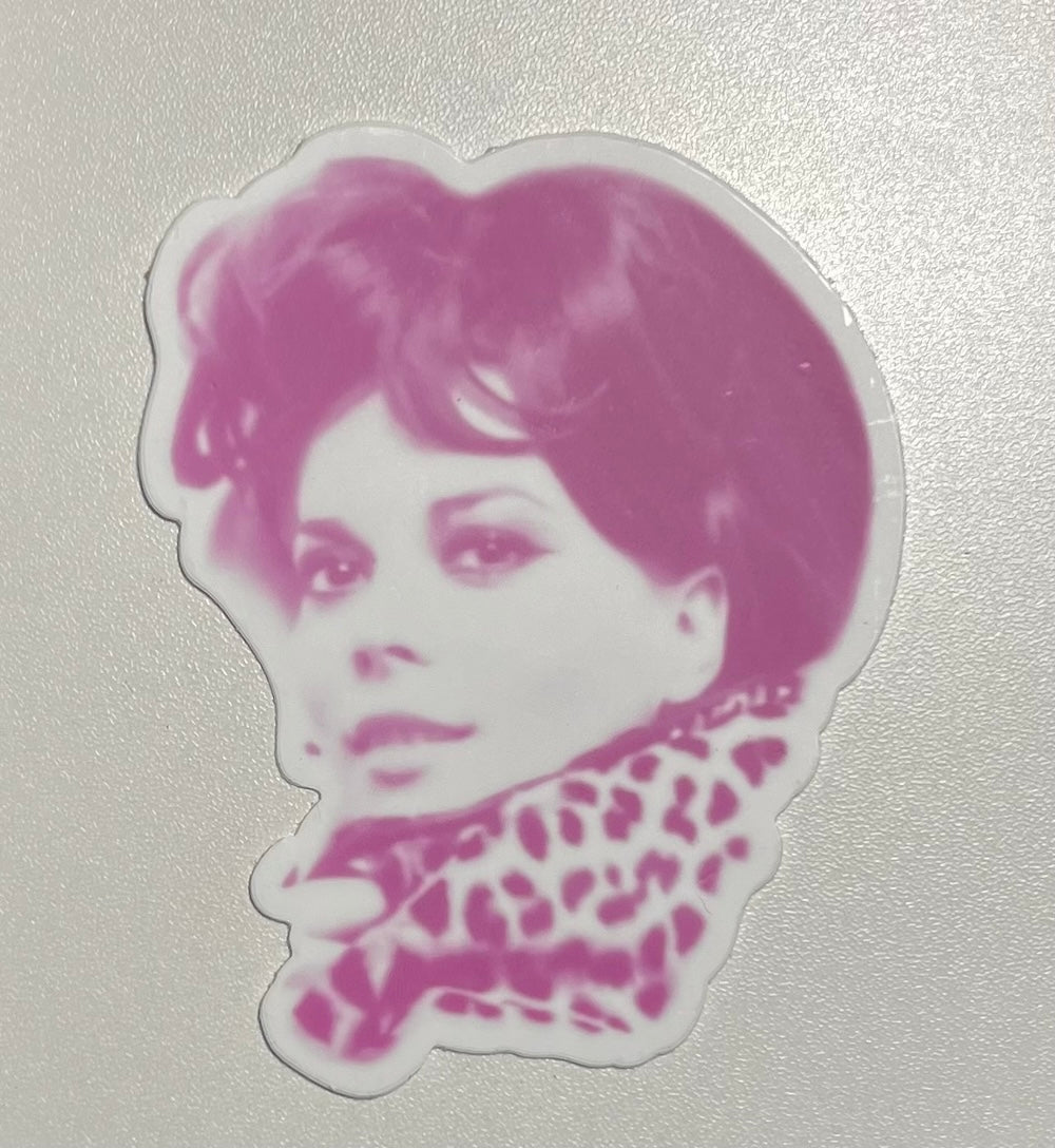 Natalie Wood Pink Cheetah Die Cut Sticker